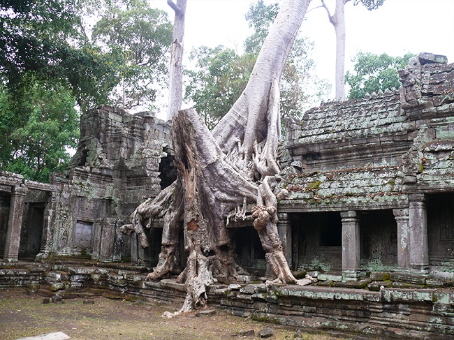 Plan your Cambodia  package  tour 2020 & 2021 with Banteay Srei
