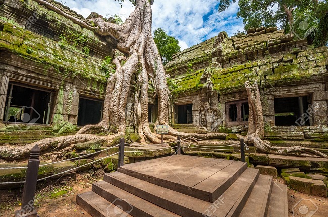 Plan your package tours Cambodia  2020 & 2021, visit Ta Prohm temple in Angkor Wat complex