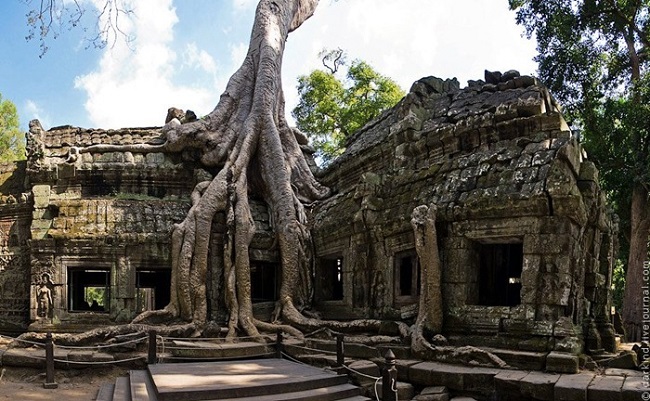 Plan your package tours in Cambodia  2020 & 2021, visit Ta Prohm temple in Angkor Wat complex
