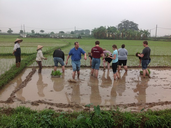 British want to see rice farm on their Vietnam trip
