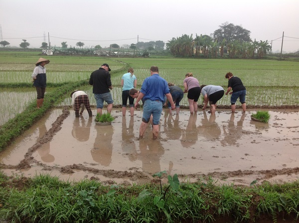 Australian tourists wanted to see rice sector on their Vietnam holiday