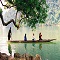 North east Vietnam tours Hanoi to Ba Be lake and Ban Gioc waterfall - top Vietnam tripadvisor reviews 2023 - 2024