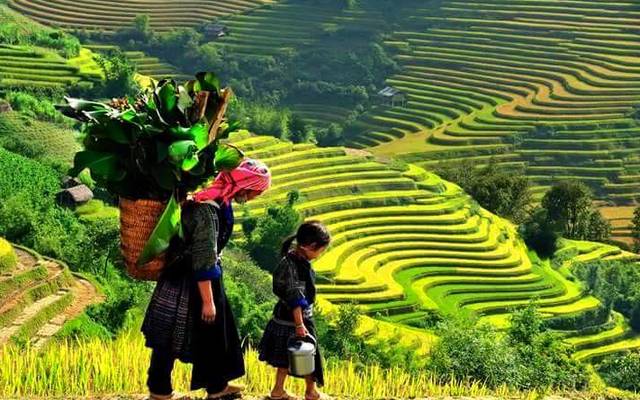 Why join  Vietnam trekking tours 2020 & 2021