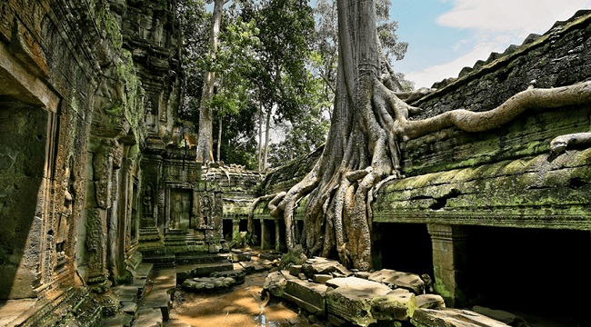 Plan your package tour in Cambodia  2020 & 2021, visit Ta Prohm temple in Angkor Wat complex