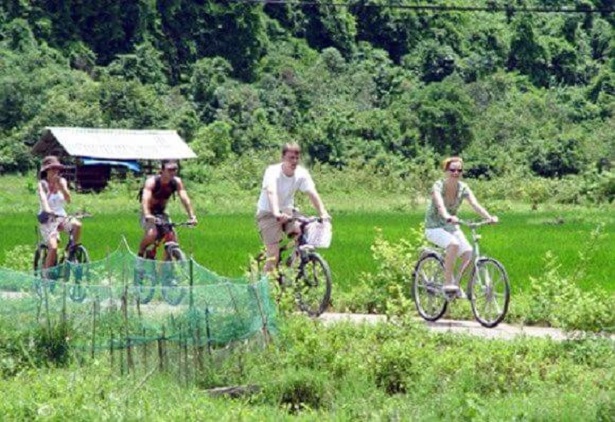 Hoi an tours 