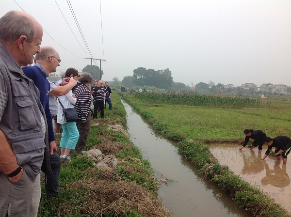 best package Tours Vietnam from UK, see rice-tranplanting by Vietnamese farmers