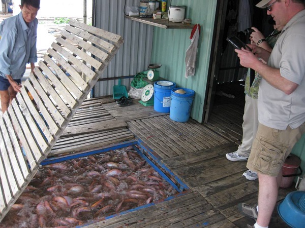 vietnam farm trip from uk