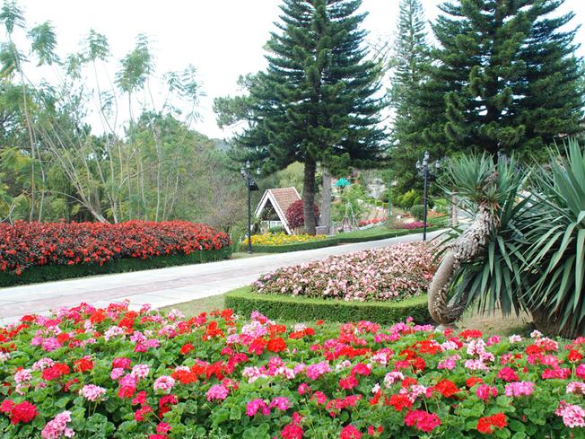 vietnam horticulture tour packages from usa
