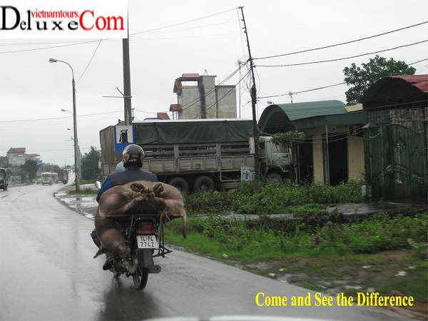 SDARL see it on  Hanoi travel