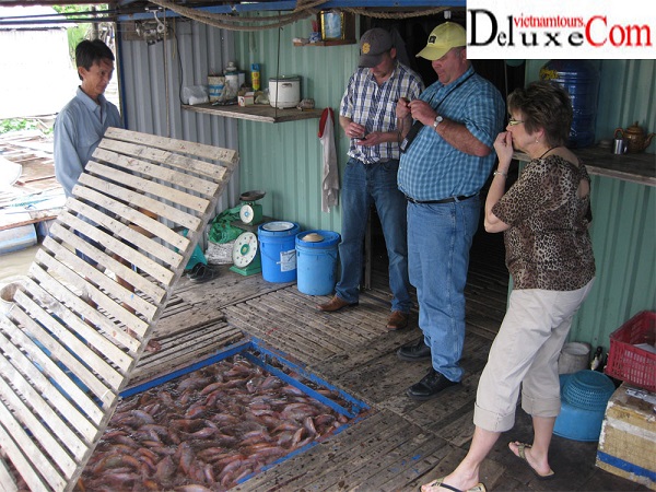 SDARL on Mekong tour from Saigon - Vietnam