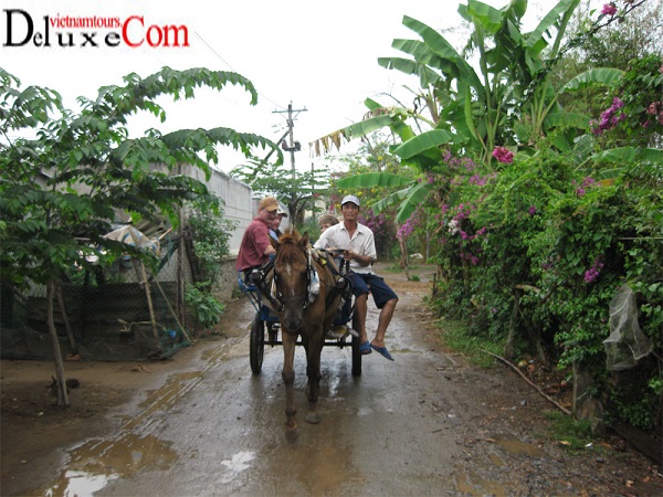 SDARL visit Mekong delta from Saigon - Vietnam