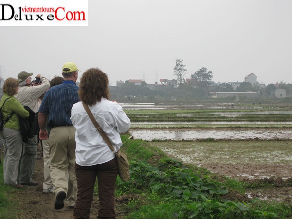 SDARL visit a rice village in Hanoi - Vietnam
