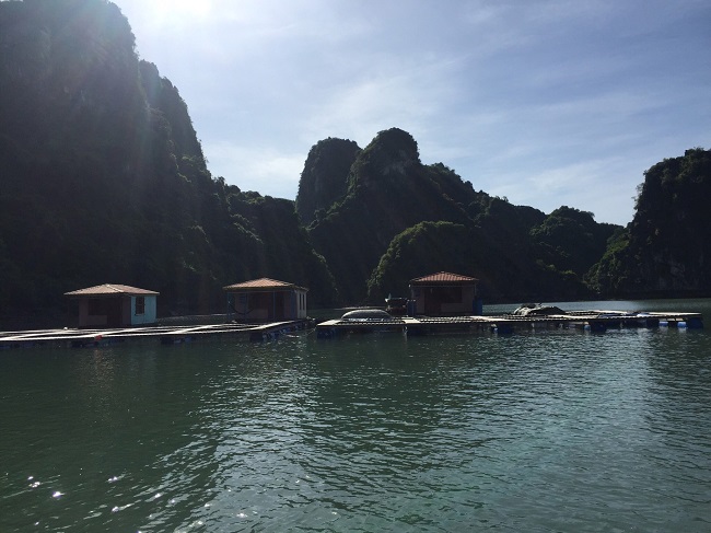  Amazing Halong bay tours Vietnam by Luxury La Regina Royal Cruise