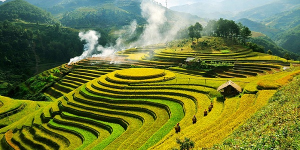 best  vietnam tours hanoi to  Mu Cang Chai