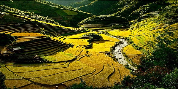 Best North vietnam  package tours from Australia