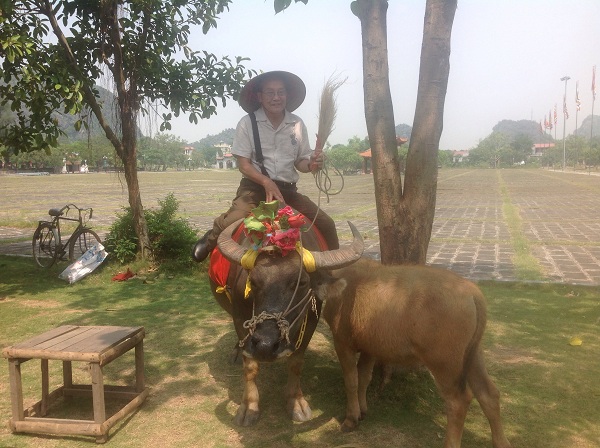 Amazing experience with buffalo fighter on North Vietnam travel Hanoi