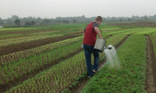 Hanoi countryside tour