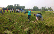 Hanoi countryside tours