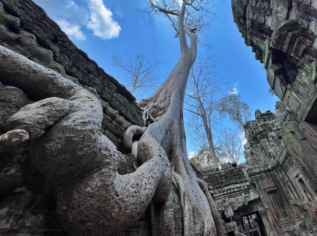Glide through shimmering waters, uncover hidden communities, and witness the timeless traditions of Cambodia’s floating villages