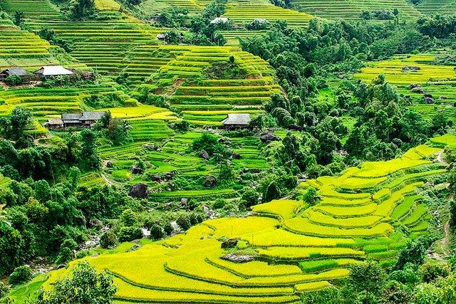 Why join Hoang Su Phi Tours Vietnam on your   family  holidays 2020 & 2021