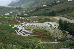Sapa is one of the best Vietnam trips from Australia