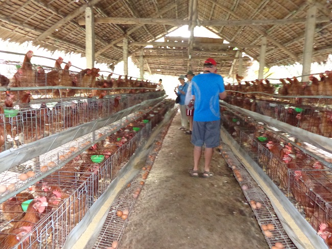 Beyond The Crowd - Vietnam trip