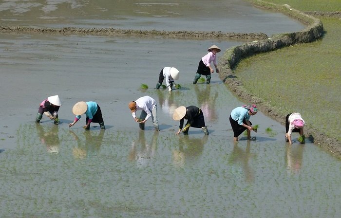 Saigon photo of Vietnam for best Vietnam vacation package