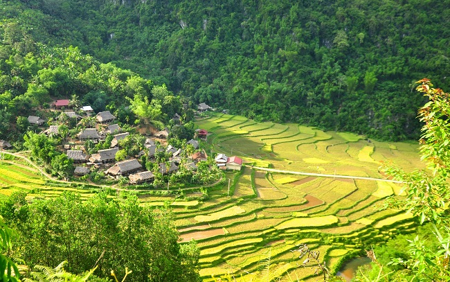 Tour Maichau valley on your 10day  Family  Hanoi Holiday  Vietnam  2020