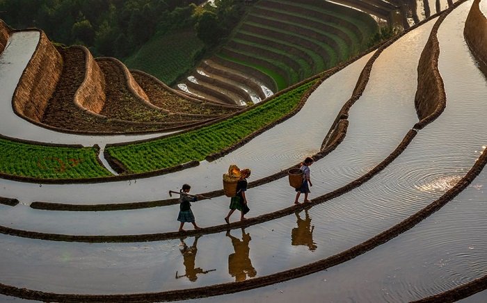 Sapa Vietnam photos for best Vietnam vacation packages from Brisbane