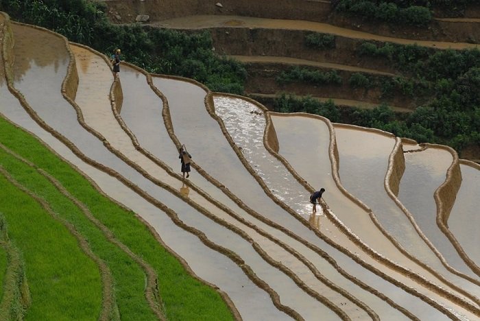 Sapa Vietnam photo for best Vietnam vacation packages from Brisbane