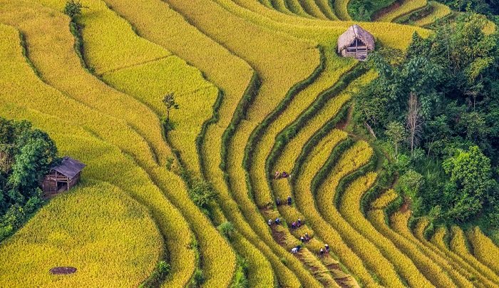 why book   Vietnam Sapa tours with us?