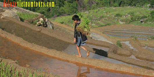 vietnam travel