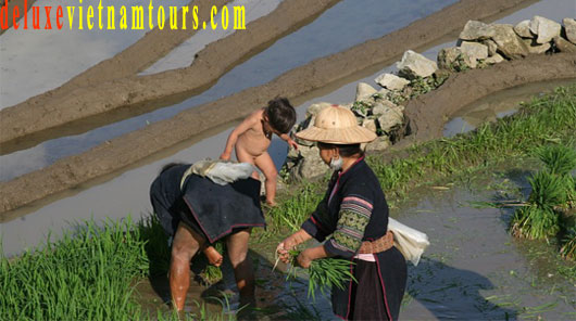 Sapa is one of best for 6day package tours to Vietnam from Canada