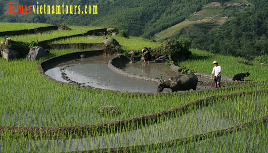 Amazing experience on Sapa tour package