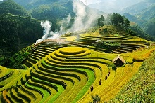 Best package tour from Hanoi to Halong  and Mu Cang Chai from Singapore